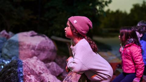 A young girl in a pink beanie and gray sweater leans on a wooden railing, intently looking at a display. Other children in jackets stand nearby, with trees in the background.