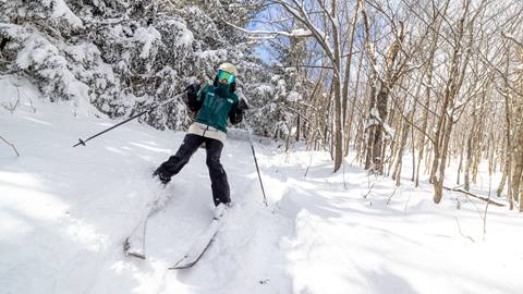 A person in skiing gear navigates through a snowy forest with trees on a sunny day.