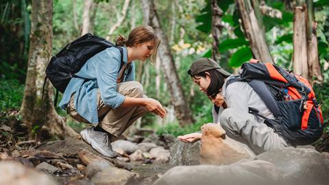 Two hikers with backpacks interacting by a stream in a forest, one splashing water while the other watches.