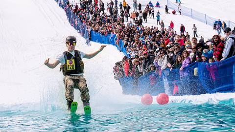 Retro Pond Skim