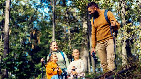 a family of four hiking in a forest, smiling and walking with trekking poles on a sunny day at blue mountain resort