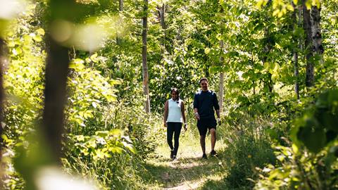 two people strolling through a mountain walking trail at blue mountain resort 