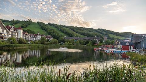 Blue Mountain Scenery during the summer