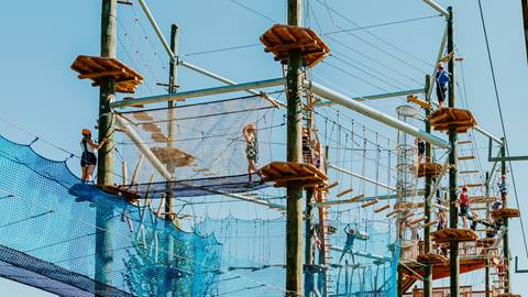 Individuals are participating in a high ropes course, traversing various suspended obstacles, and secured with harnesses on a clear day.