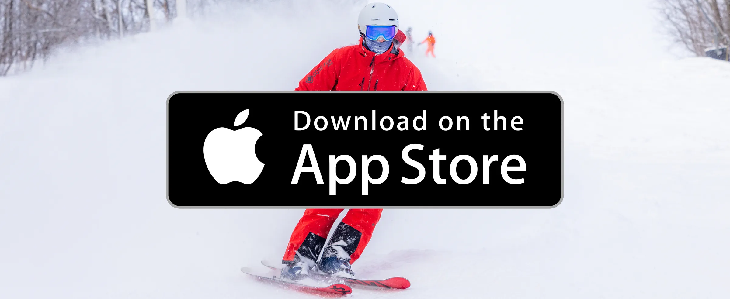 Download On The App Store