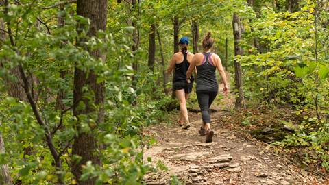 two people power walking on a forested dirt trail at blue mountain resort