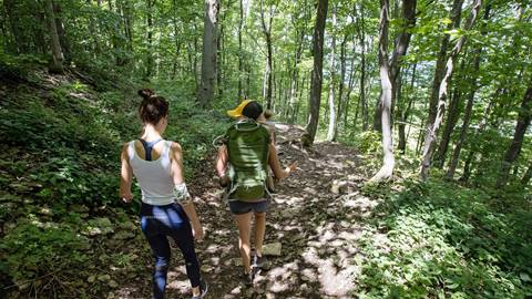 a group ascending a hiking trail at blue mountain resort