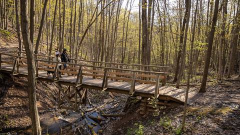 two people with dogs walking on a wooden bridge enjoying a morning stroll at blue mountain resort