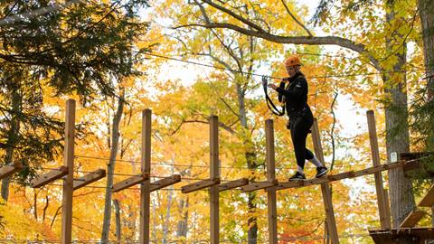 People on Timber Challenge High Ropes Course