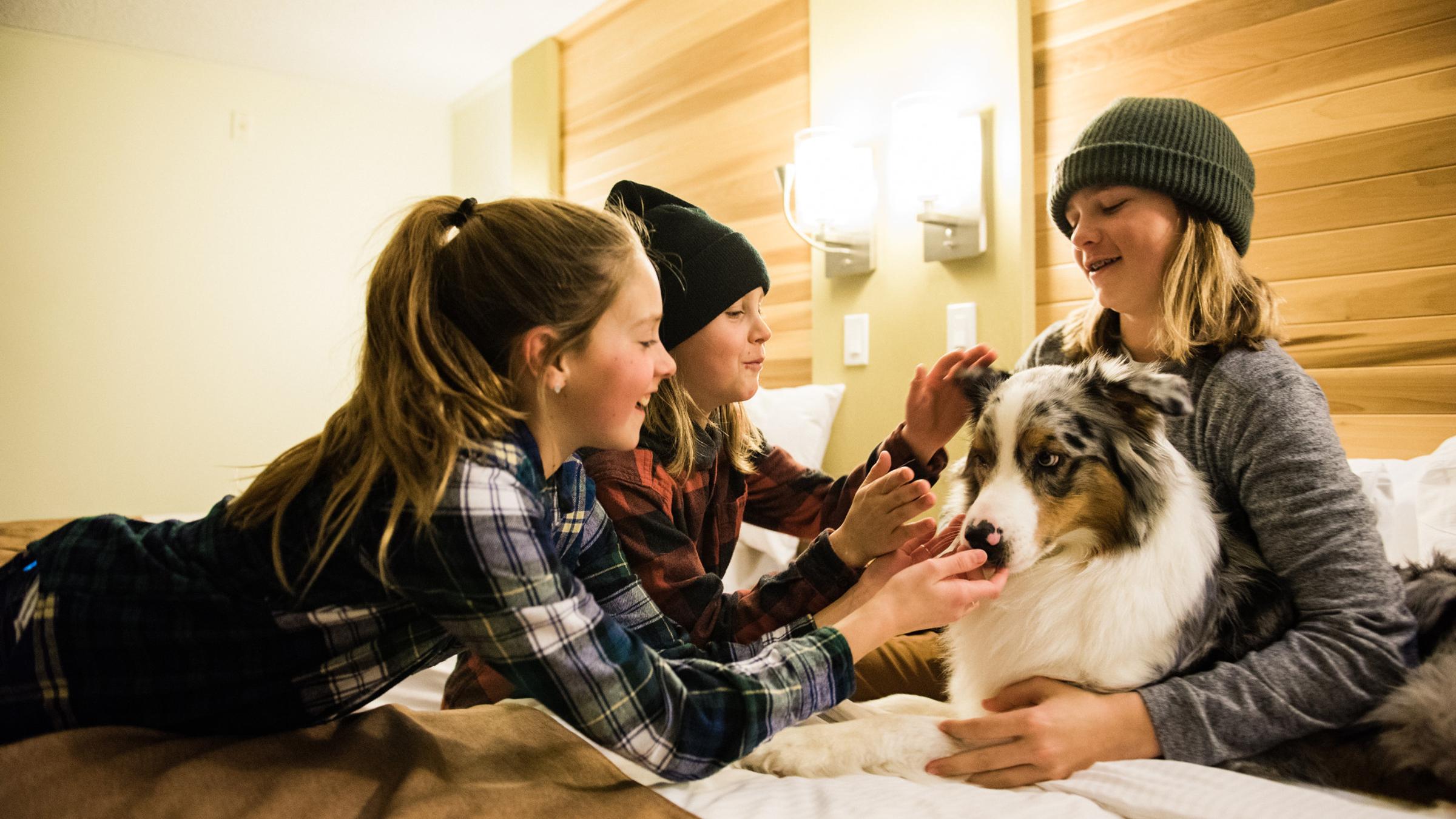 Pet Friendly Winter Resorts Ontario   2019 02 28 Bm Familyhotel 007 Jpg.ashx